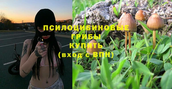 прущие крисы Армянск
