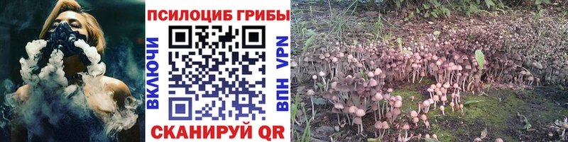 Купить  Вихоревка  Псилоцибиновые грибы ЛСД 