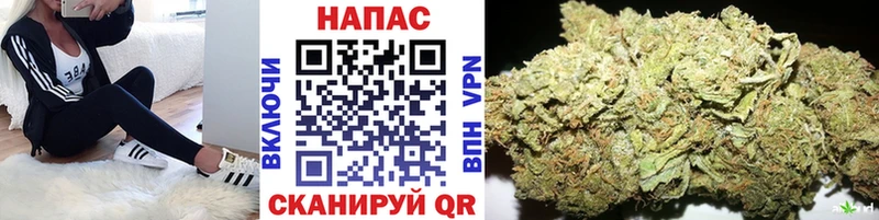 Бошки марихуана ГИДРОПОН Вихоревка